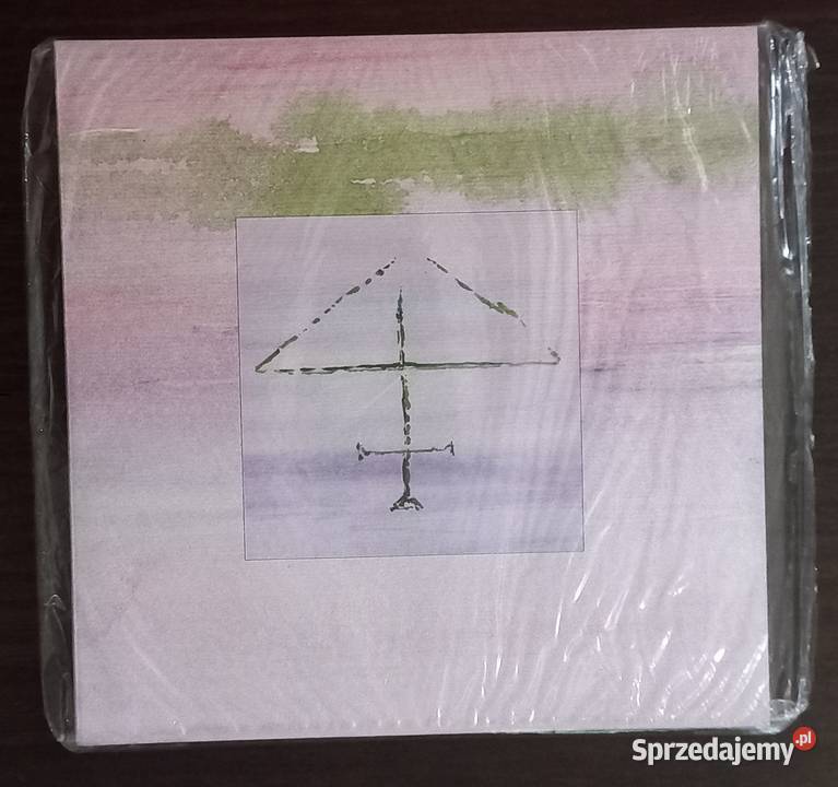 Temple Music Volume II Shining Day Shine 06 2007 Elbląg sprzedam