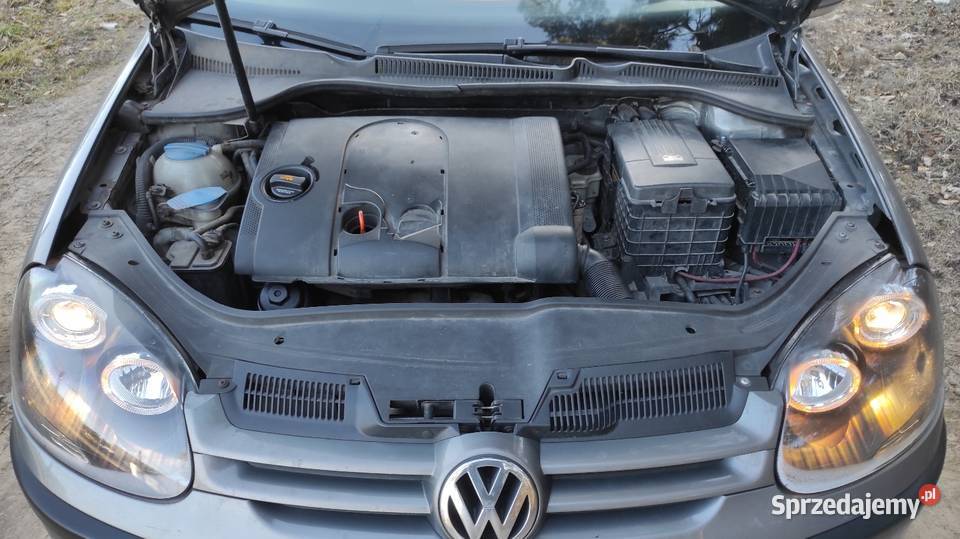 Volkswagen Golf 2004 14 fsi 1900cm3