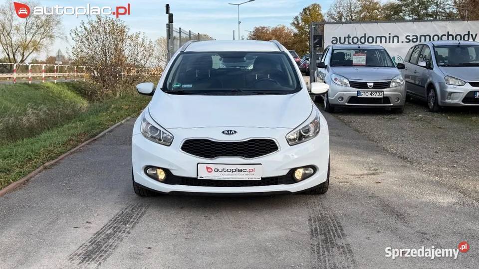 Kia Ceed Raty 14 benz Nowy rozrzad Nowe opony wielkopolskie
