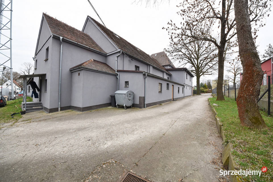 Lokal Niemodlin 700m2 700m2