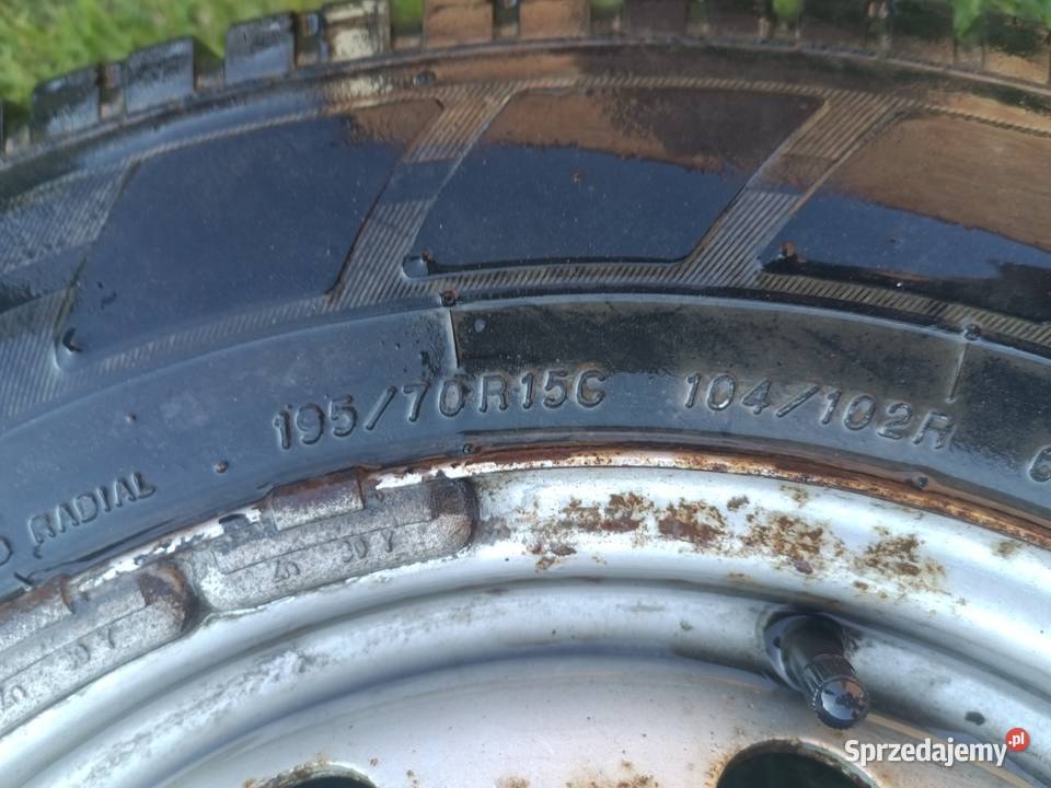 19570R15 C Wróblew