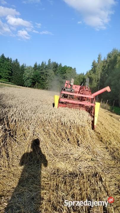 Massey Ferguson 30 Dębowiec