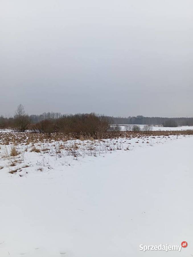 działka inwestycyjną z możliwością budowy stawu Przędzel