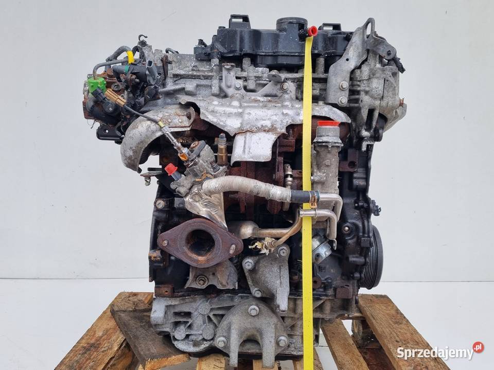 SILNIK KOMPLET Renault Master III 23 DCI 101 227 Rudka