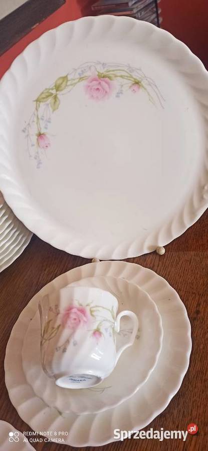 PateraRosa Florantes Yamaka Japan pomorskie Gdańsk