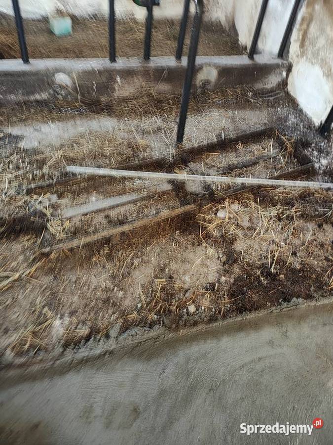 Zgarniacz linowy obornikawyciąg pomorskie Wielki Klincz