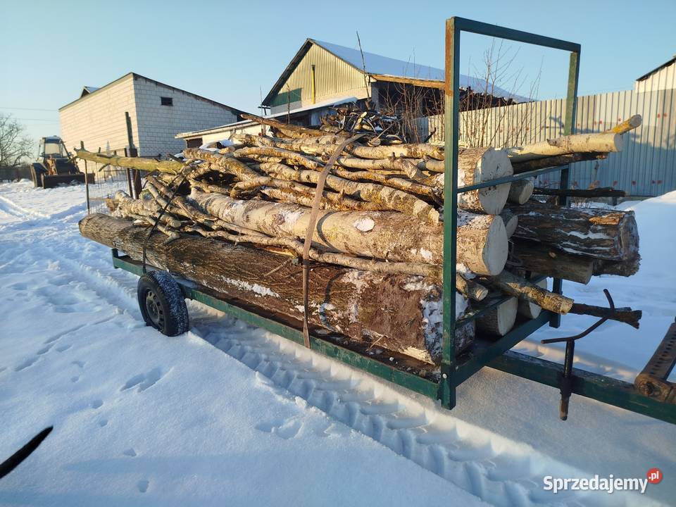 Drewno opałowe osica sosna brzoza świętokrzyskie Słupia Nadbrzeżna sprzedam