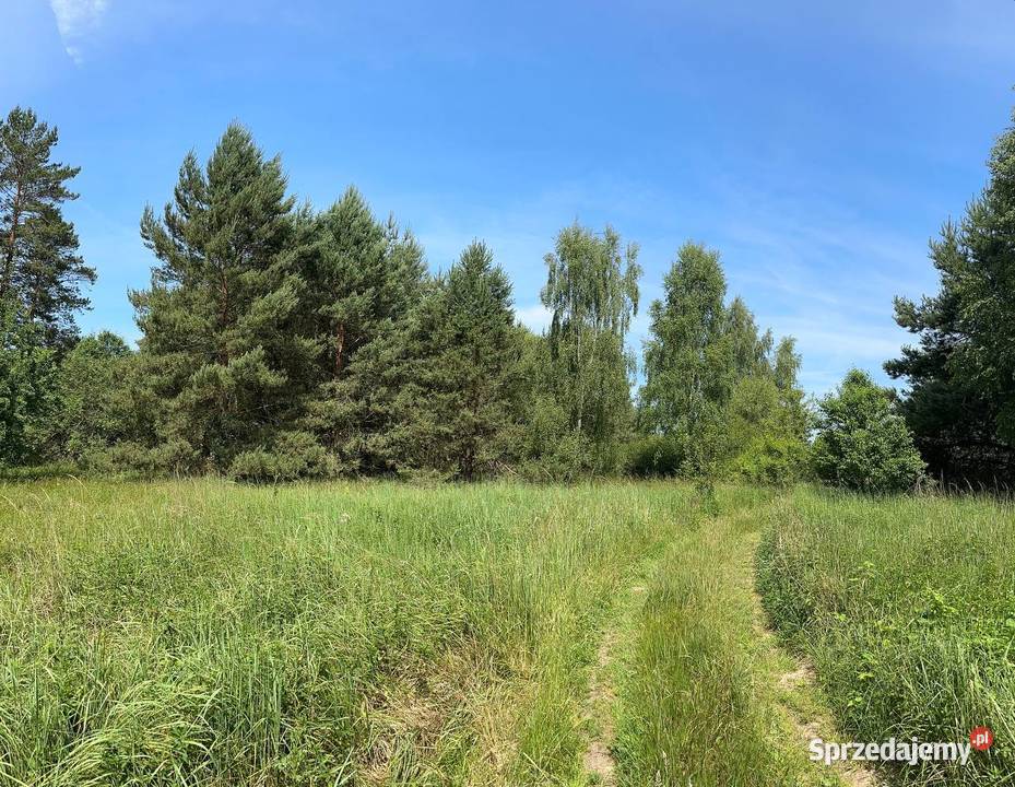 Działka w otulinie lasu lubuskie