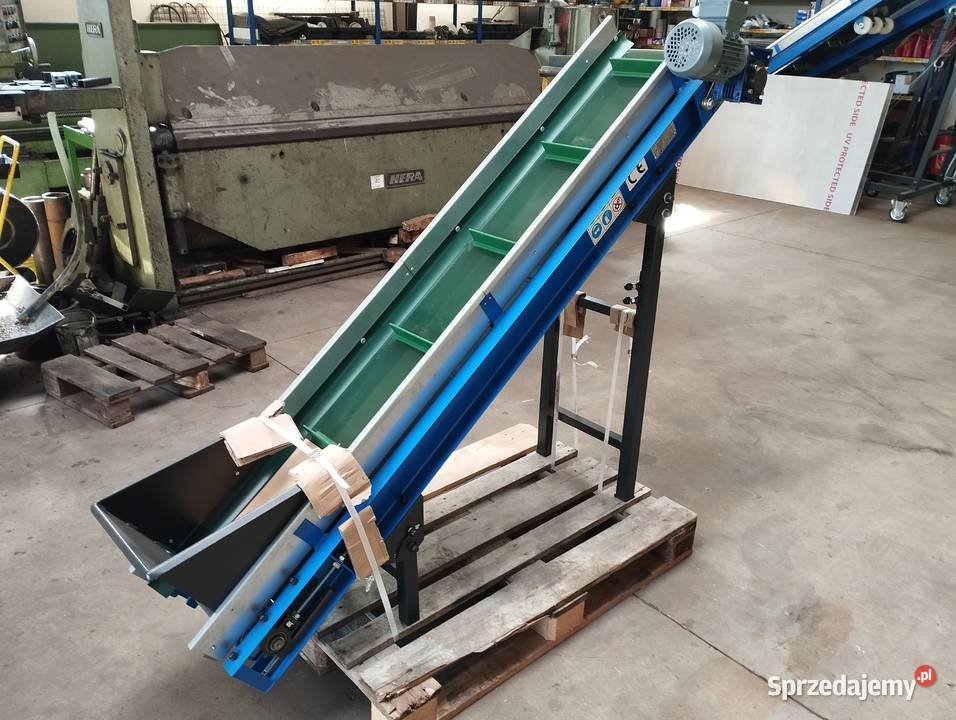 Przenośnik taśmowy do skrzynio palety sortownik Gostyń