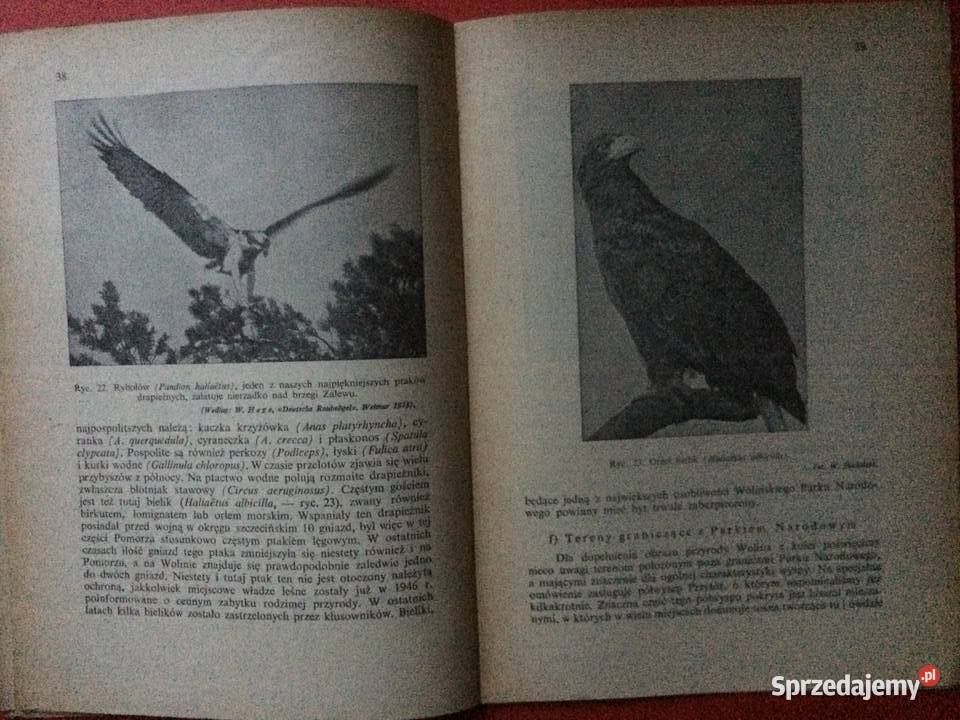 737 Park Narodowy Na Wyspie Wolin Szczecin