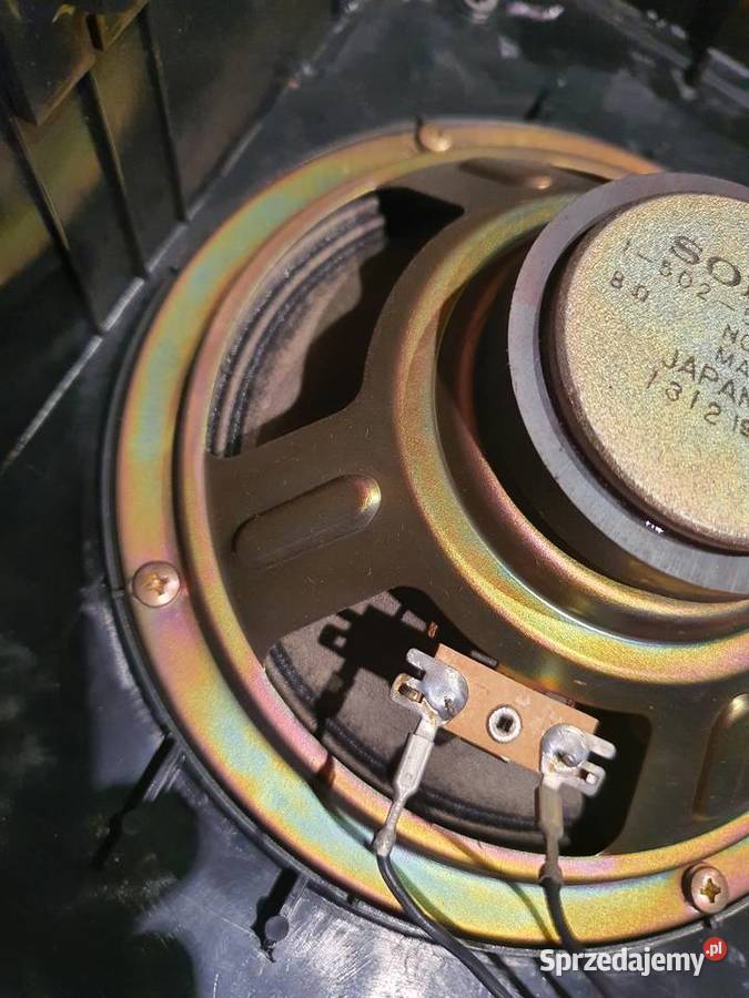 Stare kolumny Sony Passive Radiator Speaker