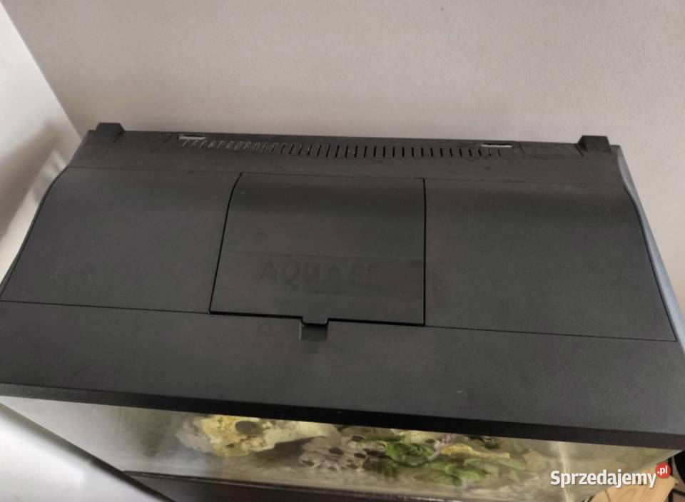 Akwarium 60l z pyszczakami Ryby Kielce