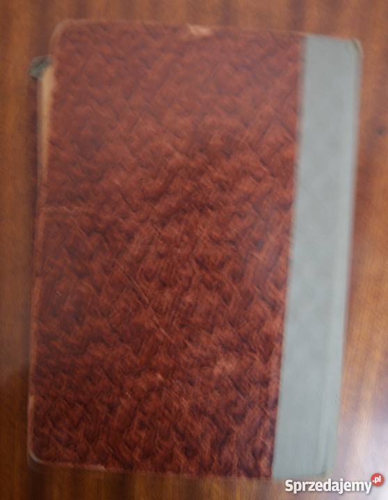 Ferdynand Goetel Z dnia na dzień 1931 społeczno-obyczajowe