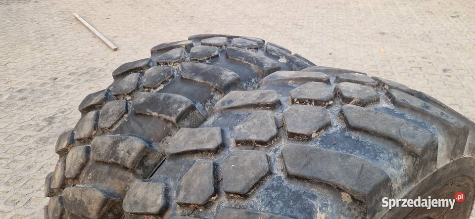 46070r24 4607024 175LR24 44570r24 Apollo 2023r sprzedam