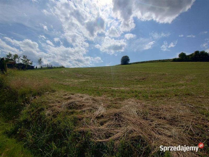 Działka rolna 034ha Binarowa