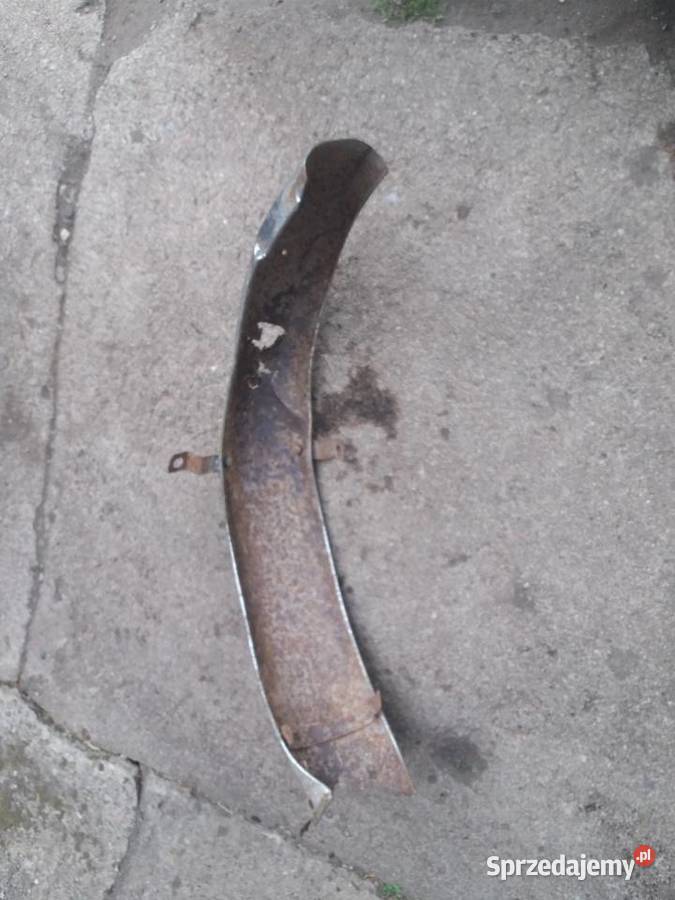 Błotniki Wsk sport lelek dudek kos bąk