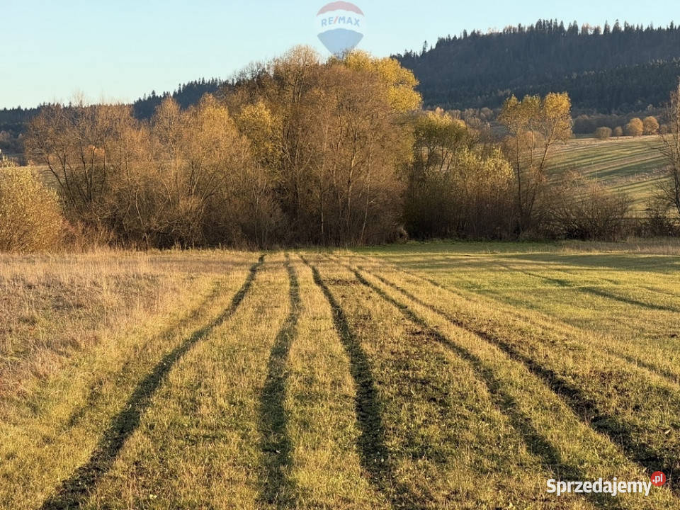 Nieruchomość gruntowa Frydman rolna sprzedam