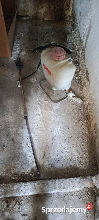 Opryskiwacz SOLO 425 opryskiwacz plecakowy Rzeszów