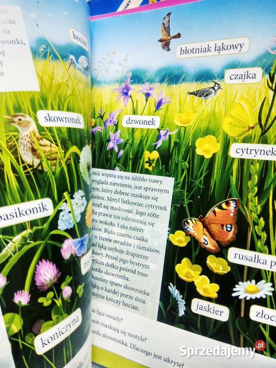 Przyjaciele klasa 1 część 4 edukacja Warszawa