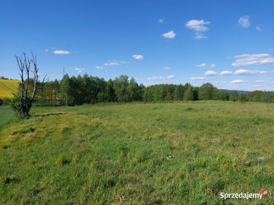 sprzedaży działki 2852m2 Chrząstówka