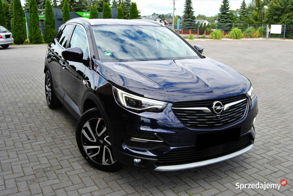 Opel Grandland X UMBRELLA FULL Grzana SKÓRA i klimatyzacja Modliborzyce