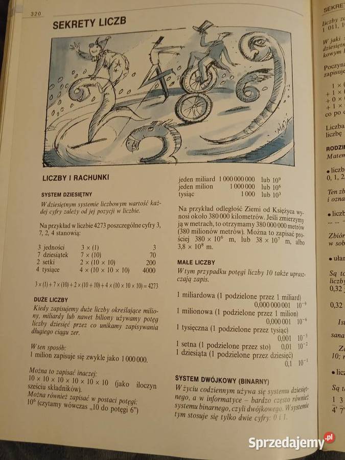 Encyklopedia młodzieży Larousse Książki naukowe i popularnonaukowe Poznań sprzedam