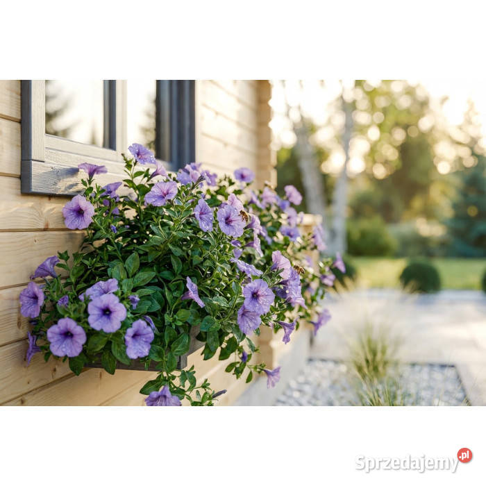 Drewniany domek letniskowy Weekend 25 8 m2 DE