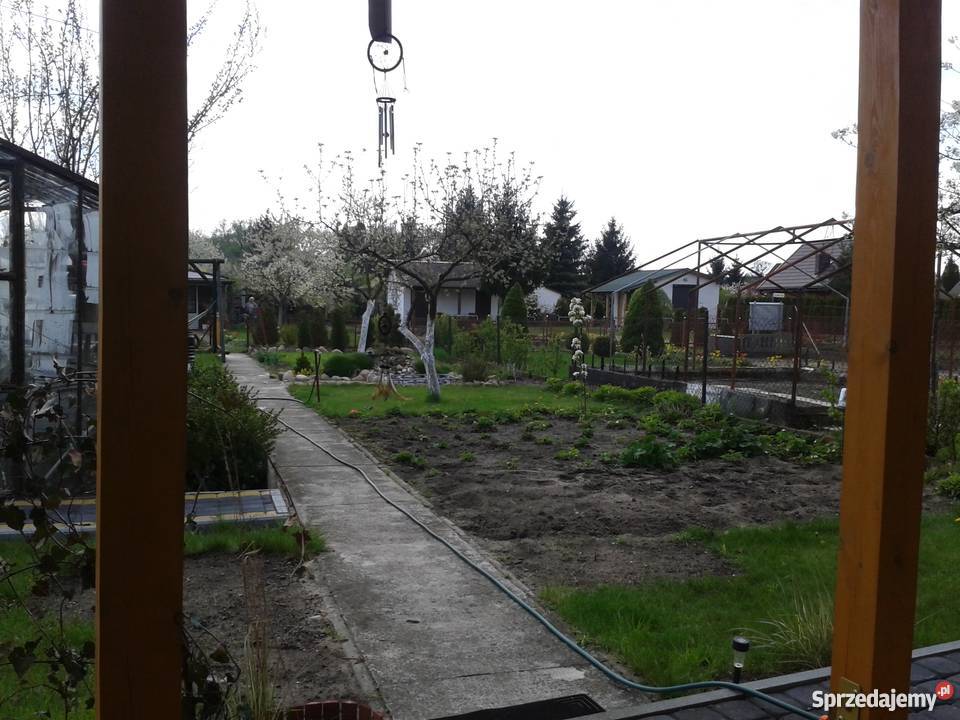 dzialka ogrodnicza Paderewskiego Brodnica