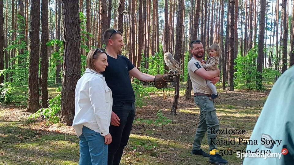 Roztocze Dziupla Pana Sowy sprzedam