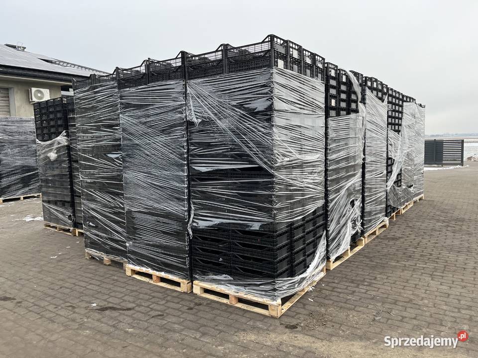 Skrzynki plastikowe jednorazowe 30x50x14 inne Grabica