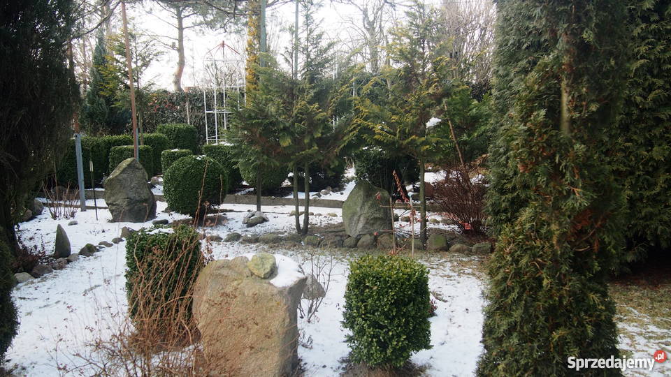 ogródek działkowy Sochaczew