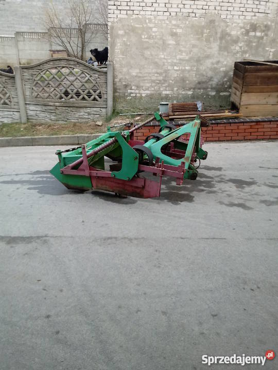 redliniarka obsypnik formiarka remprodex małopolskie Jangrot