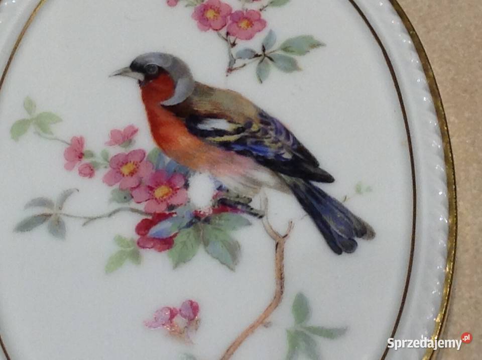 Stary Porcelanowy Obrazek KAISER WGERMANY Vógel biały Nowa Sól