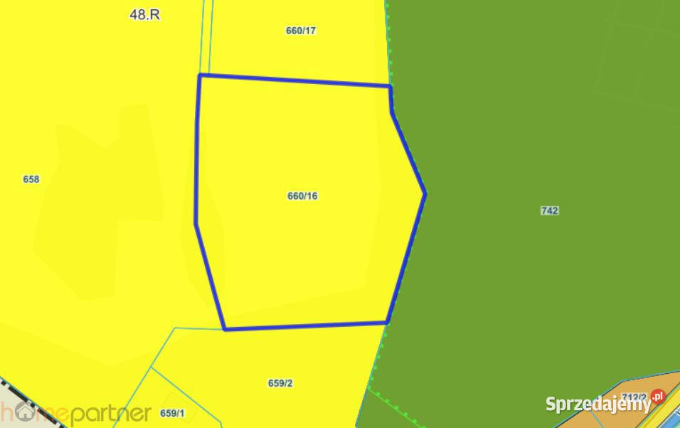 sprzedaży działki 9600m2 Walim Adama woda Sprzedaż