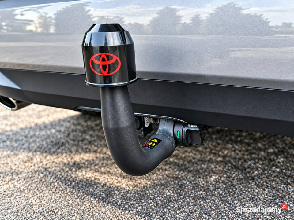 Toyota RAV4 V 2018 wielkopolskie Sadlno