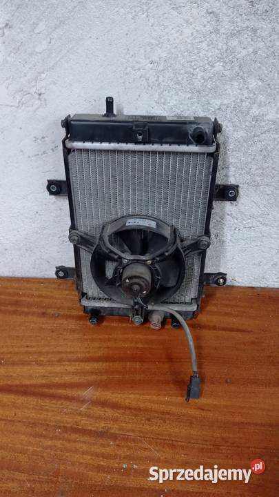 Chłodnica wentylator czujnik SYM 250 skuter łódzkie Łubno