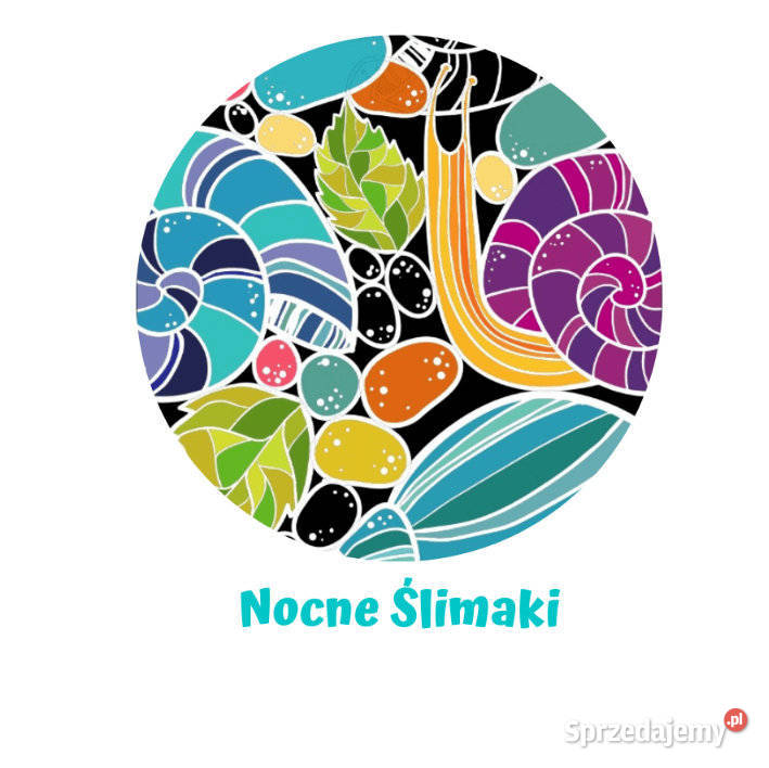 AIO BIRDSEYE OS SLIM LITTLE BIRDS LBD NOCNE Pieluszki i chusteczki Bielsko-Biała