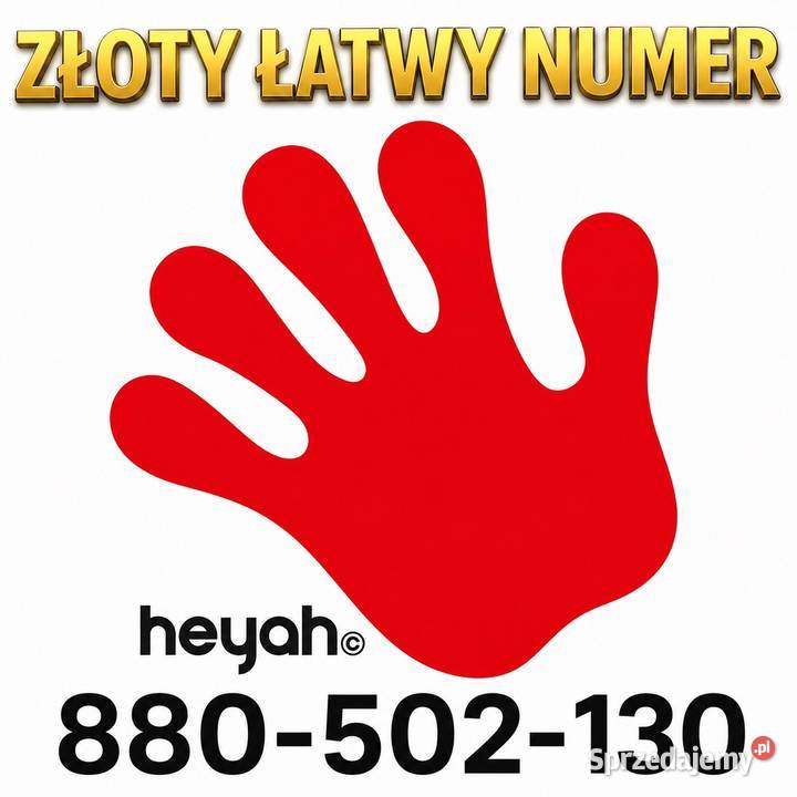 Złoty Łatwy Numer 880502130 Heyah Chroberz
