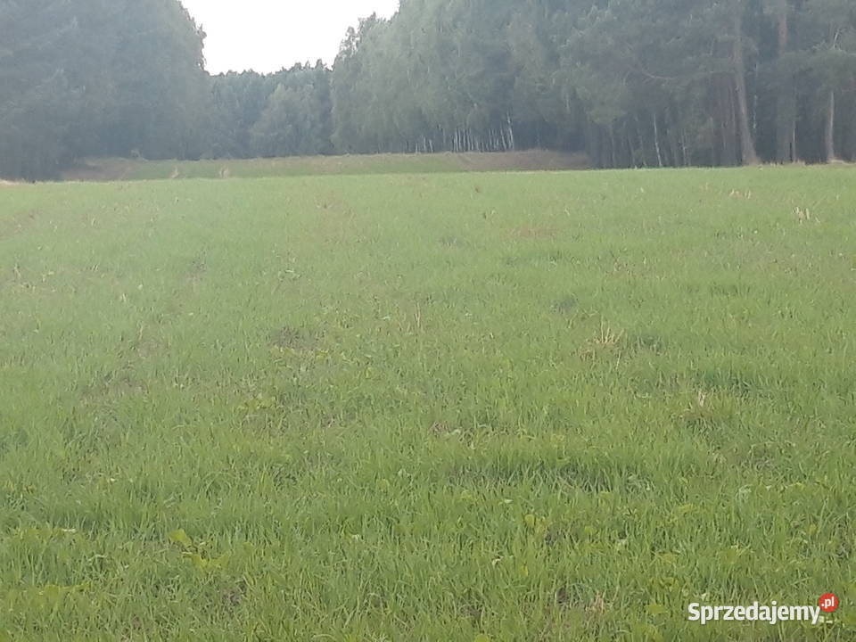 Sprzedam działki Sprzedaż Zygmuntówek