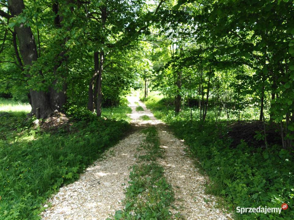 Działka z decyzją o war zabudowy Czarnej Góry 40zł/m2 Idzików