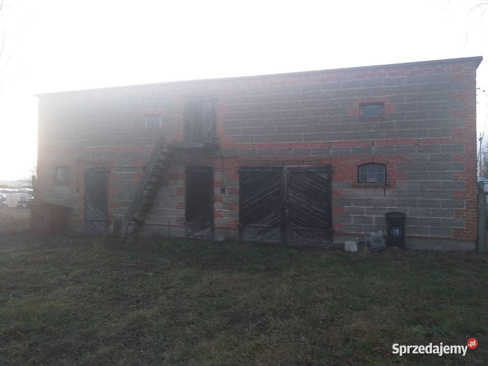 Wynajmę dom na wsi Kozuby