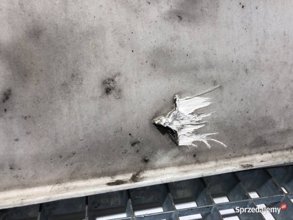 MASKA DAF XF Ciągnik siodłowy POKRYWA PRZEDNIA podkarpackie sprzedam