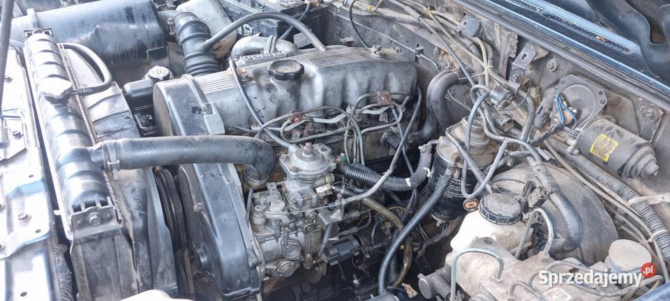 Spszedam galloper 25 Stronie Śląskie
