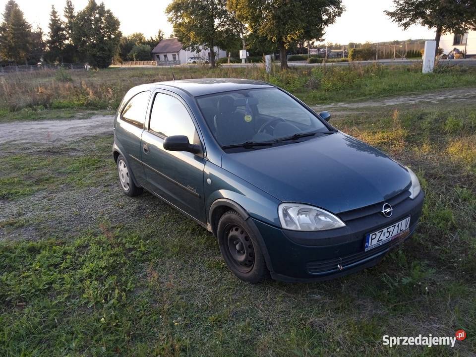 Opel Corsa 2002 Opel Sulęcinek