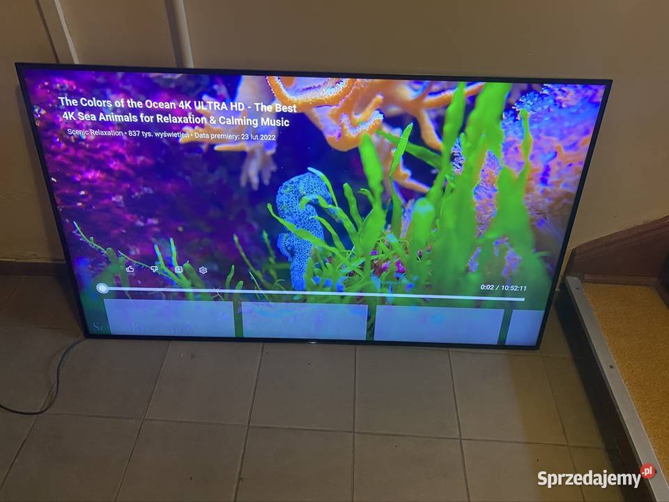 Sony 65x85L Bytom