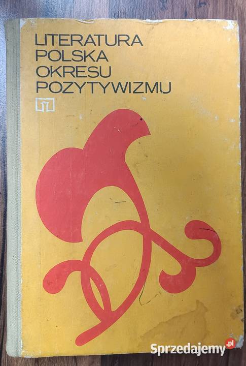 Literatura Polska Okresu Pozytywizmu Alina Proza i poezja Zbylitowska Góra