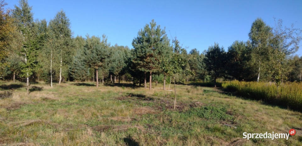 NOWA POGORZEL MIŃSK MAZOWIECKI DZIAŁKA 1305 M2 mazowieckie