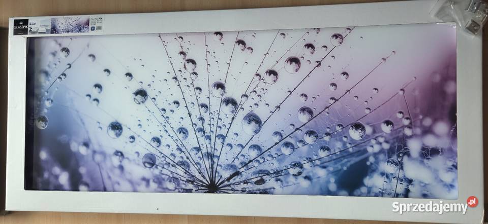 Obraz na szkle Glasspik 50x125 Łódź