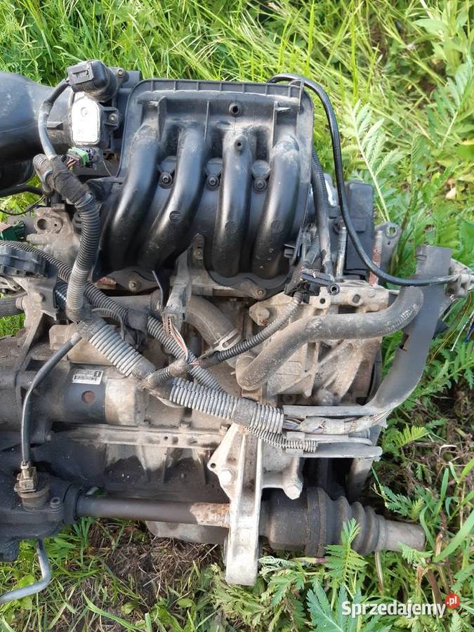 Peugeot 206 14 8V Silnik Silniki kompletne Mińsk Mazowiecki