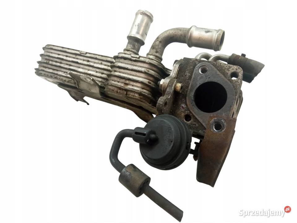 CHŁODNICA SPALIN 038131513AD 19 TDI VW